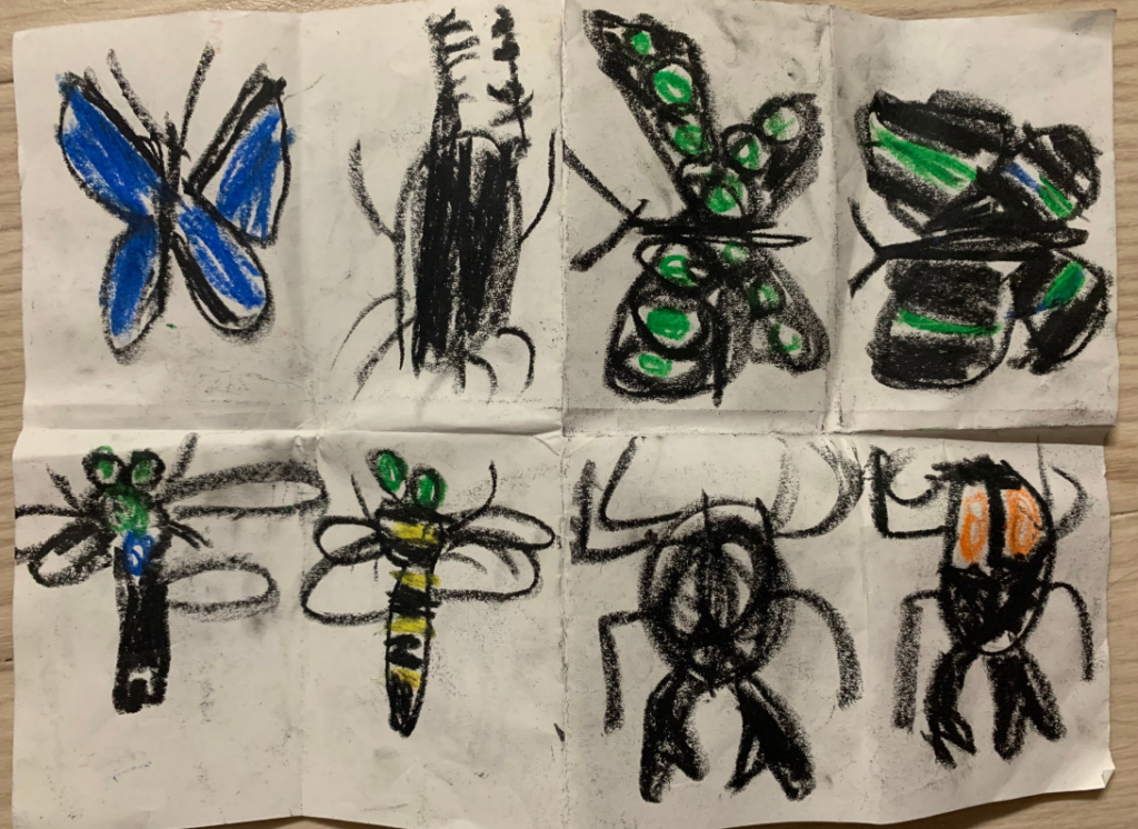 昆虫の絵ばかり描く息子
